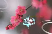 زیباترین تصاویر ویژه ولادت امام هادی(ع)/ گزارش تصویری
