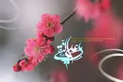 زیباترین تصاویر ویژه ولادت امام هادی(ع)/ گزارش تصویری
