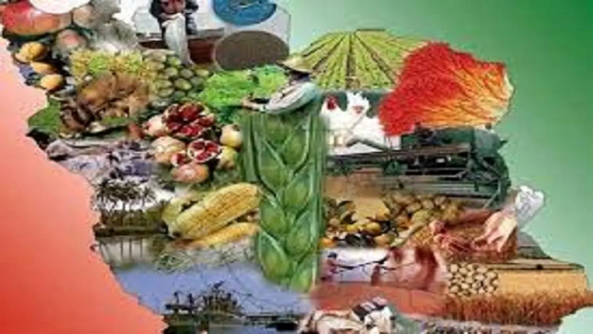تدوین سند ملی امنیت غذایی و ابلاغ آن به زودی 
