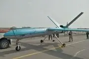 رزمایش پهپادی ایران نشان دهنده قابلیت بازدارندگی این کشور است