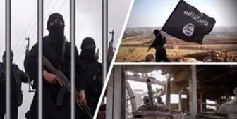 هشدار چین درباره ظهور دوباره داعش در سوریه