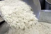 چرا برنج هندی گران شد؟