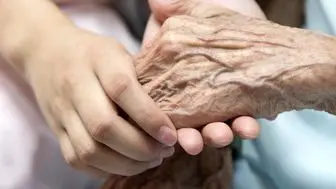 ۲٠ درصد از سالمندان وابسته به مراقب و پرستار
