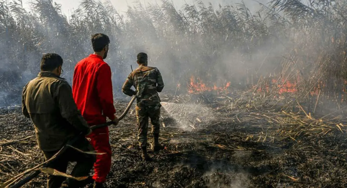 آتش به جان تالاب انزلی افتاد 