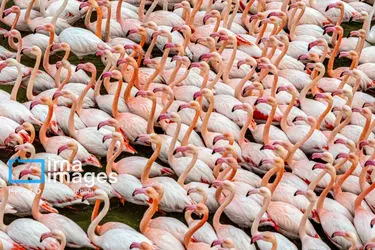 172705335_DJI_20251209151448_0039_D_MEDIDJI3