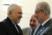 دیدار نایب رئیس مجلس عراق با محمدجواد ظریف