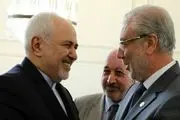 دیدار نایب رئیس مجلس عراق با محمدجواد ظریف