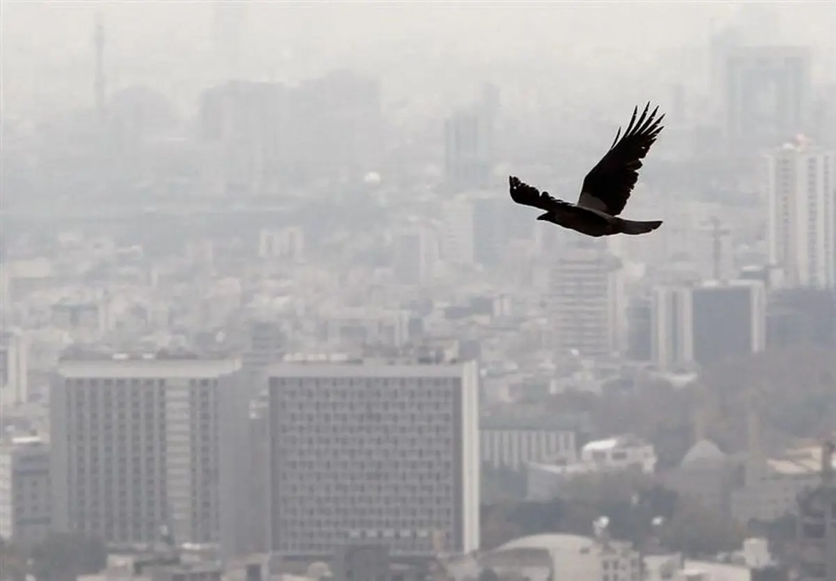 تاثیر زلزله تهران بر معاملات مسکن
