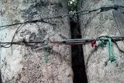 کهنسال‌ترین موجود زنده تهران با ۹۶ سال سن + عکس