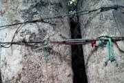 کهنسال‌ترین موجود زنده تهران با ۹۶ سال سن + عکس