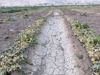 آغاز شمارش معکوس برای نابودی کشاورزی بهبهان در دولت تدبیر