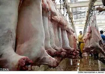 واردات گوشت از قرقیزستان و مغولستان