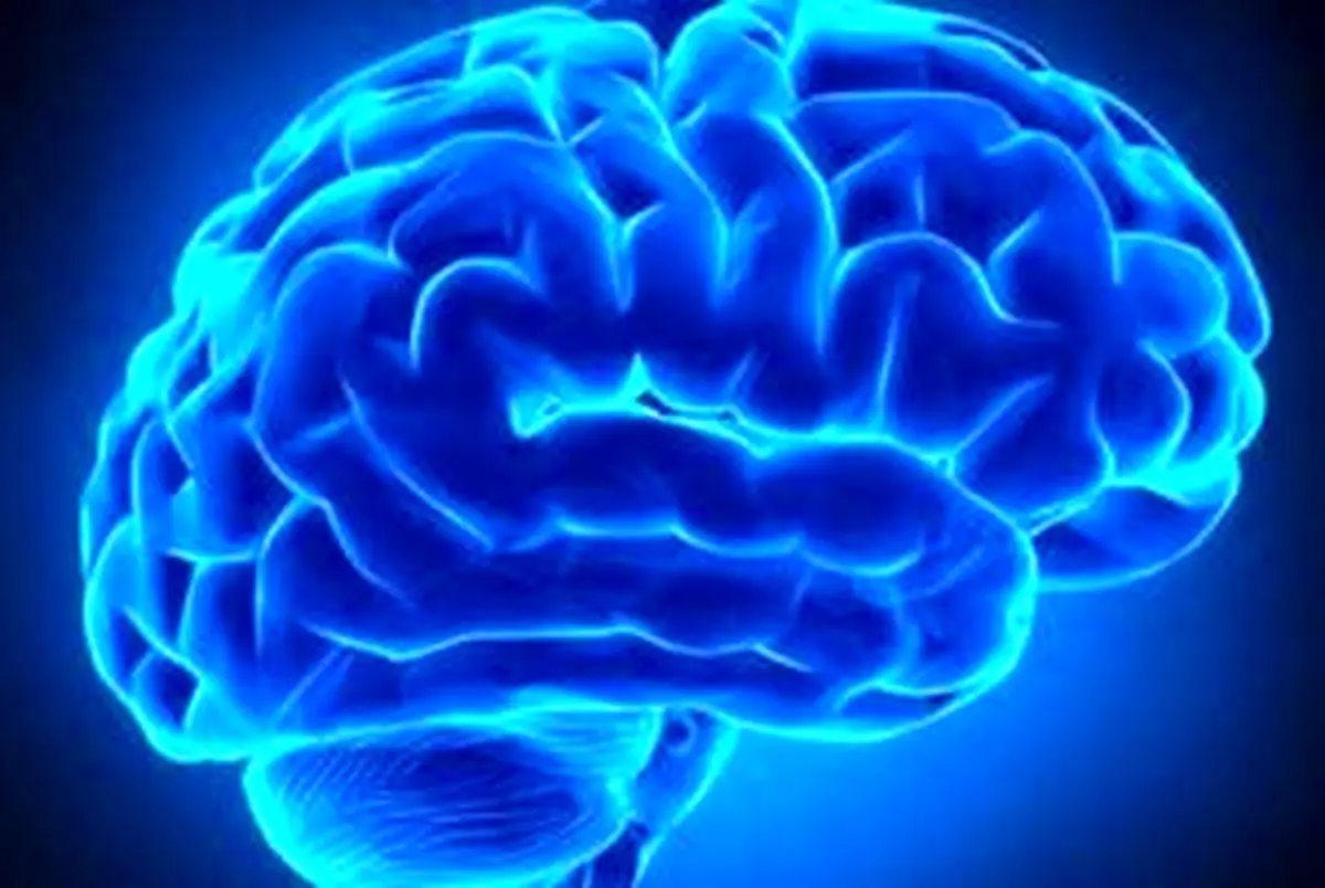 عادتهای غذایی که عمر شما را کم میکند