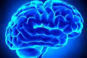 تاثیر هیپنوتیزم بر عملکرد مغز
