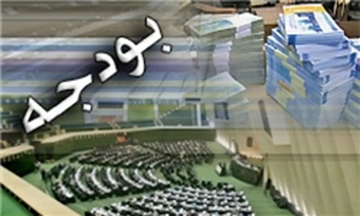 جزئیات عملکرد بودجه