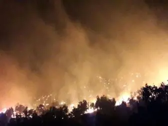 آتش سوزی ده ها هکتار از جنگلهای دنا+تصاویر