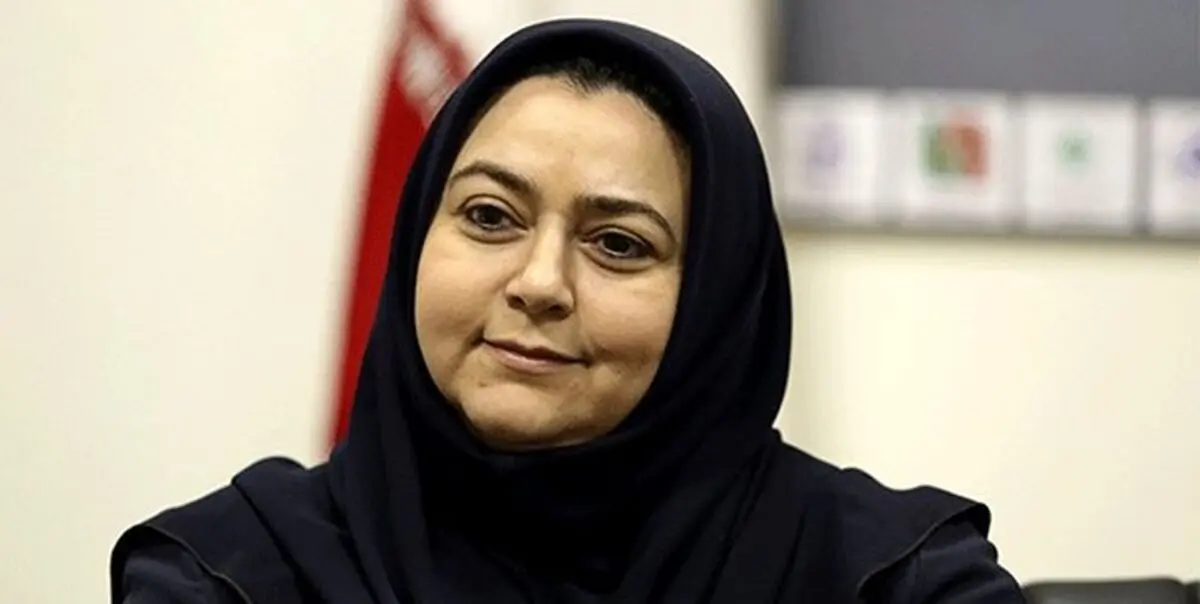 مشکلات خرید هواپیماهای جدید از زبان شرفبافی