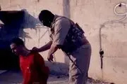 داعش، 50 تن از عناصر خود را گردن زد 