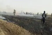 مشکلات کشاورزان برای از بین بردن بقایای محصولات کشاورزی