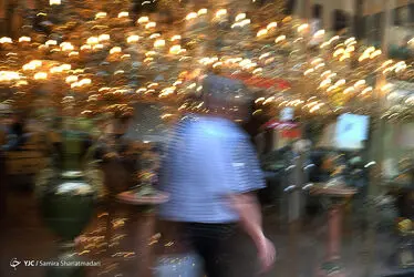 12305235_140