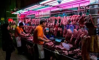 خوردن حیوانات وحشی در چین باید متوقف شود