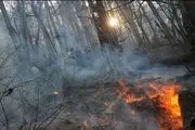 آتش همچنان در جنگل های کوه دلا