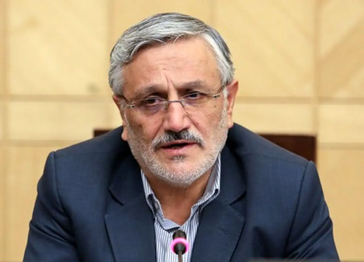 میرزایینکو: فکر نکنیم با تصویب CFT همه چیز گل و بلبل خواهد شد