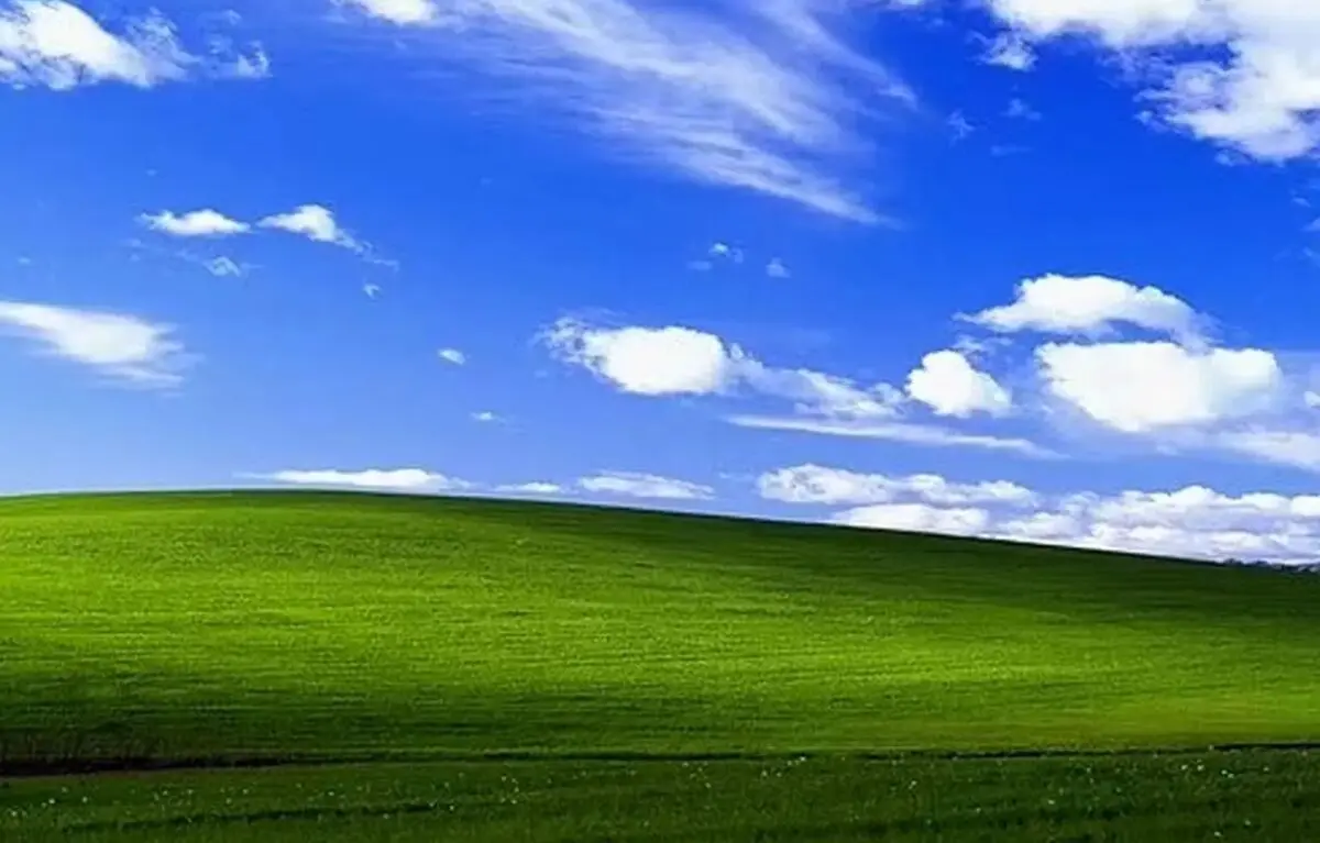 سرنوشت غم‌انگیزمشهور ترین تصویر «ویندوز XP» 