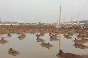 بارش باران در قبرستان بقیع/ عکس