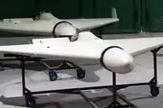 ادعای اوکراین در خصوص انهدام ۶۱۰ پهپاد ایرانی طی ۶ ماه گذشته