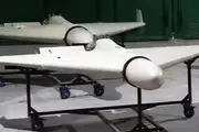 ادعای اوکراین در خصوص انهدام ۶۱۰ پهپاد ایرانی طی ۶ ماه گذشته