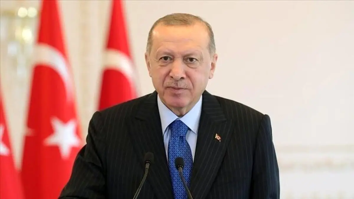اردوغان: ناتو قدر ما را نمیداند