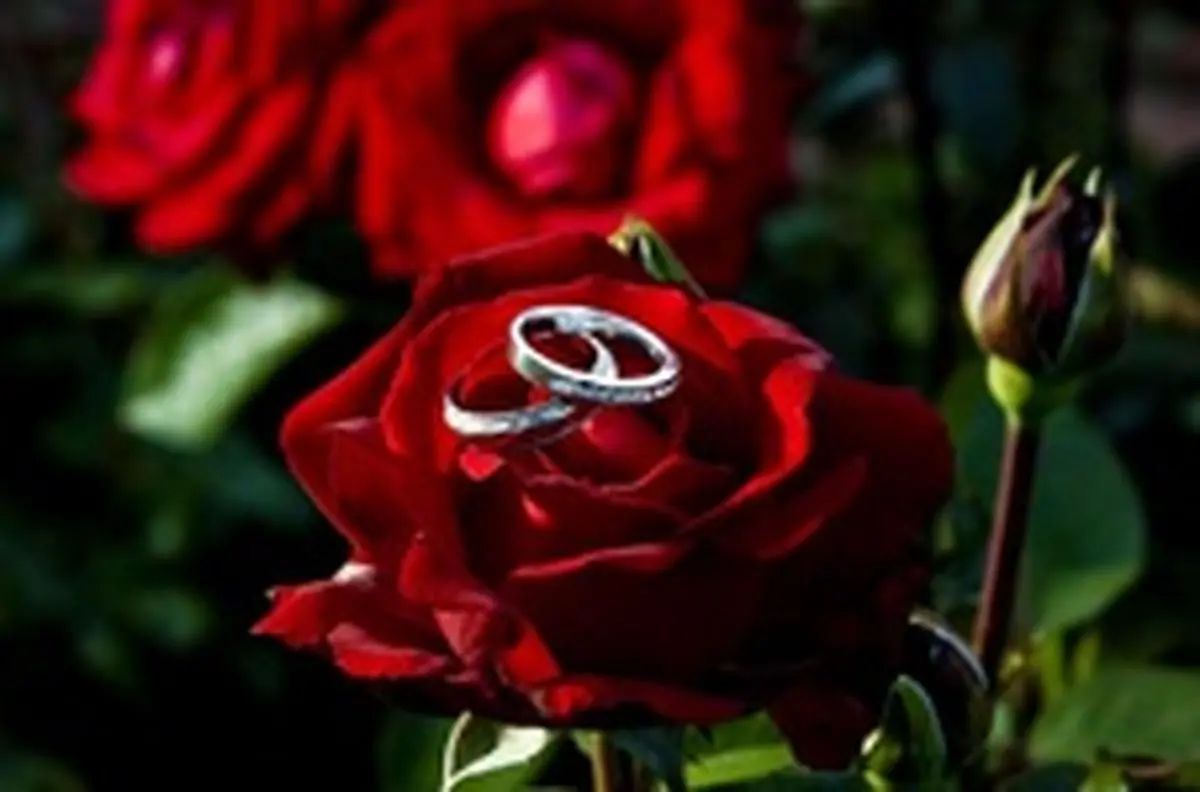 نوعروسان مراقب باشند