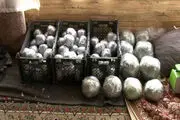 جزئیات کشف ۲۵ کیلوگرم مواد اولیه ساخت نارنجک دستی 