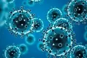 شیوع کم‌سابقه آنفلوانزا در آمریکا