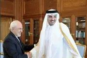 حاشیه شدن دمپایی امیر قطر در دیدار ظریف
