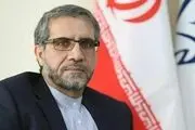 امیرعبداللهیان دارای شاخصه‌های برجسته‌ای برای وزارت امور خارجه است 