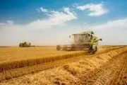 سرنوشت نرخ خرید تضمینی گندم به کجا رسید؟

