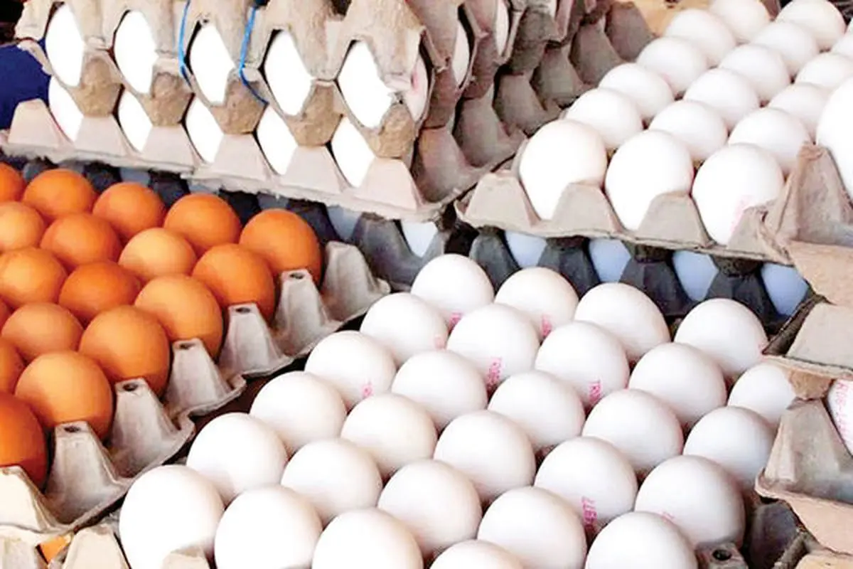 انواع تخم مرغ در بازار را چند خریداری کنیم؟