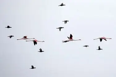 13951214001167636242323760693843_71658_PhotoU