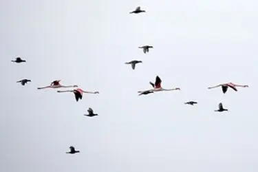 13951214001167636242323760693843_71658_PhotoU