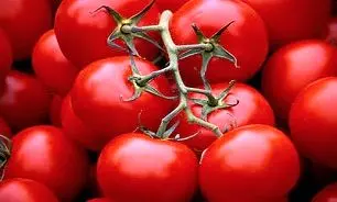قیمت نجومی گوجه فرنگی در بازار