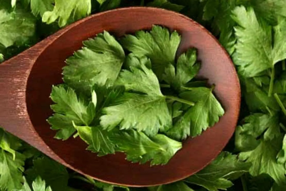با مصرف چه سبزیجاتی میتوان لاغر شد؟