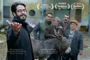 «سینما خر» به اسپانیا می‌رود
