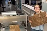 استفاده از موهای انسان برای پاکسازی آلودگی نفتی
