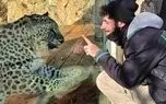 پلنگ ایرانی یک صهیونیست را کشت