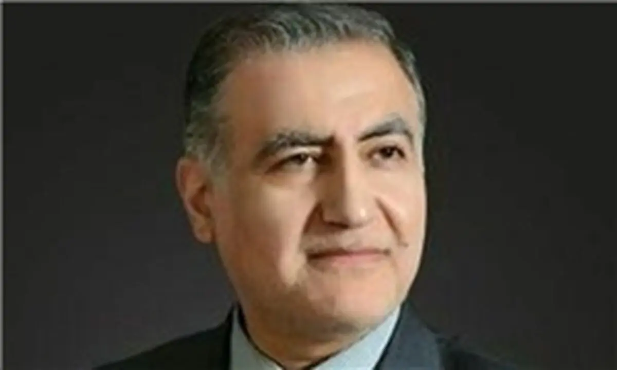 انتقاد یک نماینده از دولت/ آمارها بازی با اعداد است