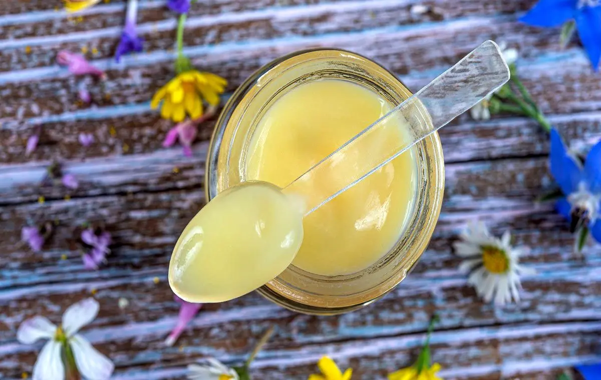آیا ژل رویال، غذای مخصوص ملکه رنبورها، واقعا معجزه میکند؟