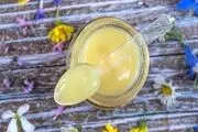 آیا ژل رویال، غذای مخصوص ملکه رنبورها، واقعا معجزه می‌کند؟