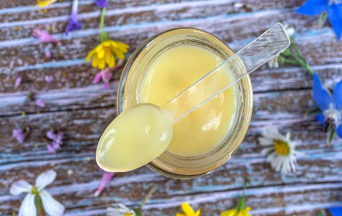 آیا ژل رویال، غذای مخصوص ملکه رنبورها، واقعا معجزه می‌کند؟